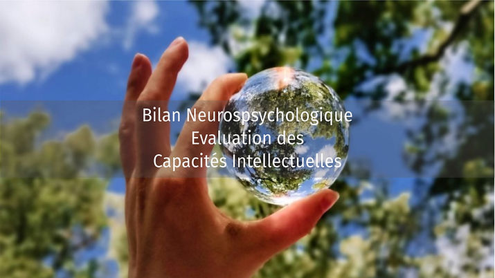 DIAPO BILAN.jpg