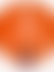 «The 5 AM Club»: Book review.