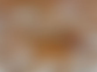 scrabble tiles spelling the word scam representing online fraud and scam reporting in Canada