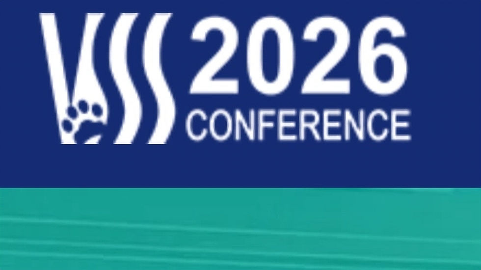 VSS Annual  Conference 2026