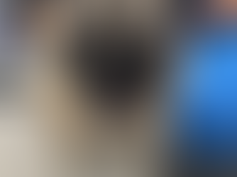 The Value of a Truly Thorough History in Brachycephalic Patients (in honour of Scipio)