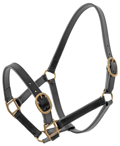 Platinum Leather Halter | KingCountrySaddlery