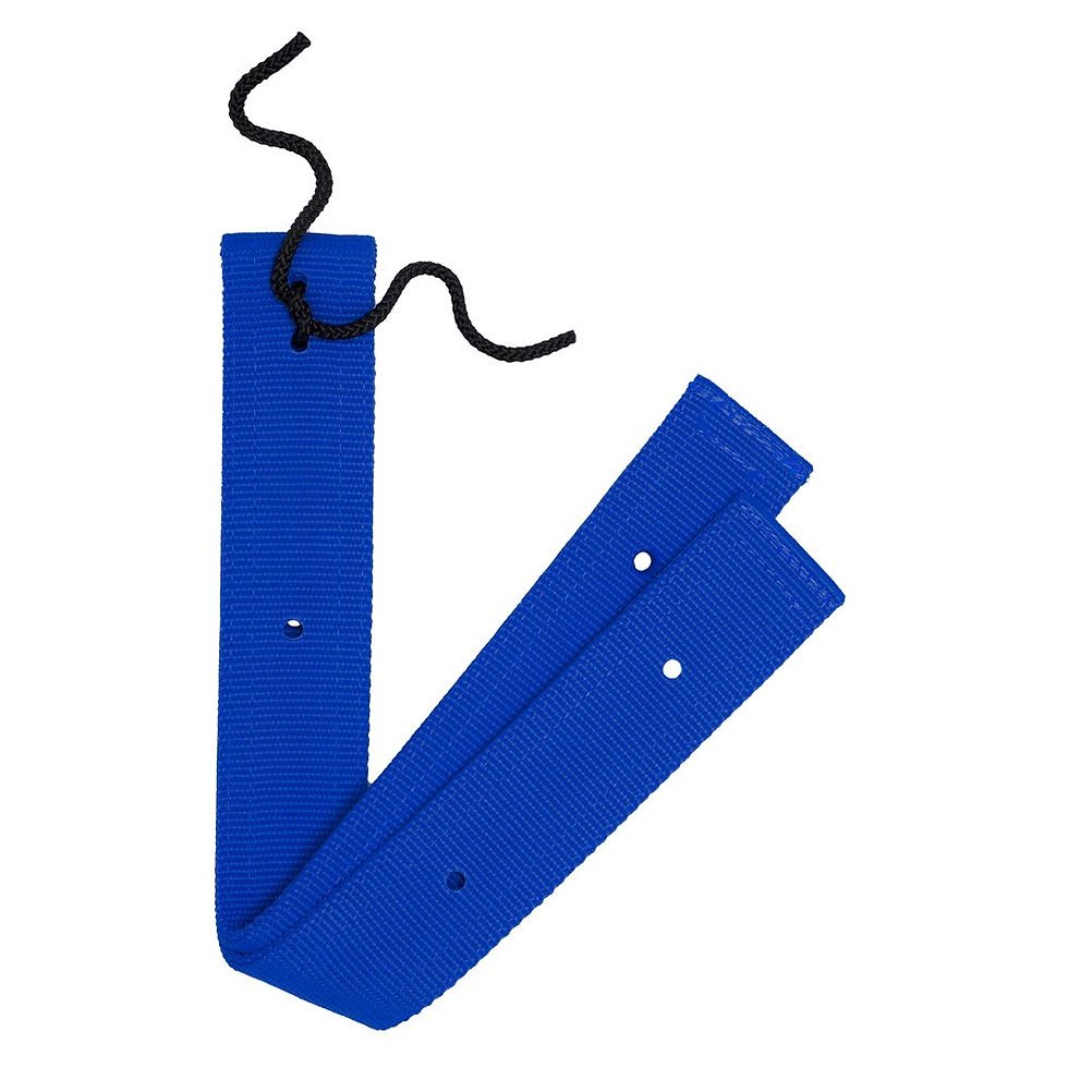 Thumbnail: Billet Strap