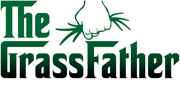 main logo - white outline (1).png