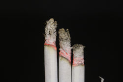 20171109001959_IMG_9392