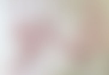 Interior Space Eva's Cafe