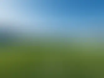 Unmasking the Connection: How AddiQuitte Can Help Break the Cycle of Using Sports as an Escape