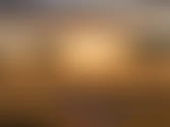 Do's and Don'ts for a Healthy Safari Adventure: What You Need to Know