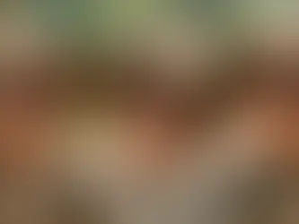 Unforgettable Safari Adventure: Bringing Kids to Explore the Wonders of the Wild!