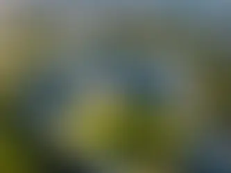 Unveiling the Best-Kept Secrets: Top Medical Universities in South America