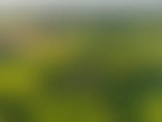 Can We Learn Mental Health Resilience from Mandela's Unseen Battles?