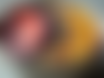 Creative Cooking with Camera Phone: Affordable Recipes