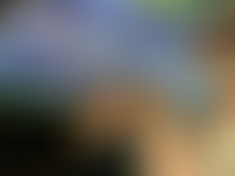 Dia 1: Rio de Janeiro