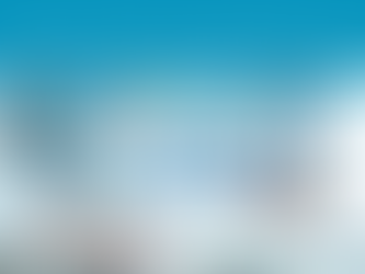 Retail Rhythms: Navigating the Nuances of the Shopper's World