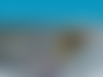 Verses of Venture: The Global Marketing Dance Explained!