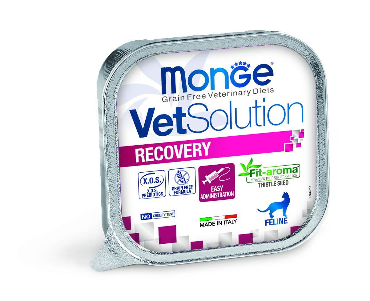 Monge Recovery (Recuperación) Felino