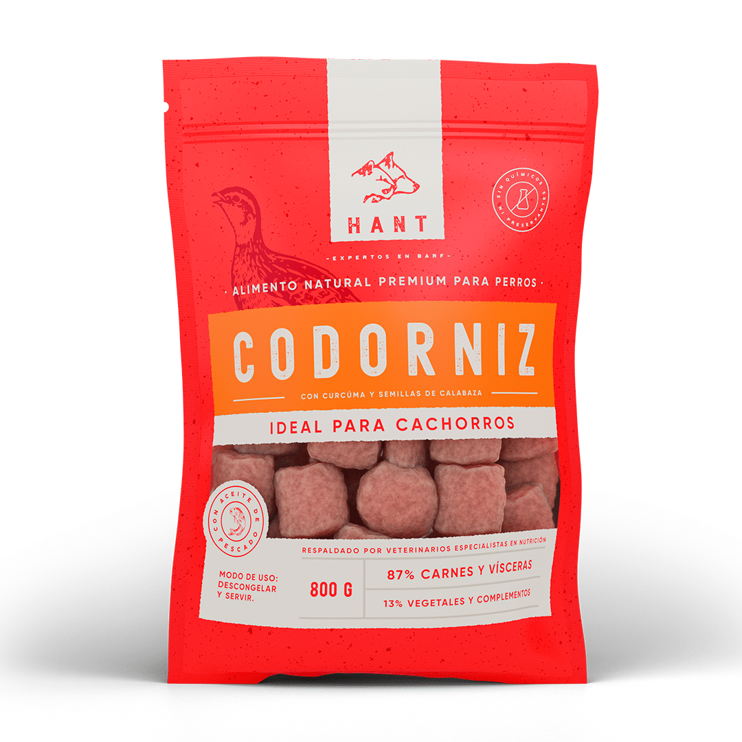 Hant Codorniz