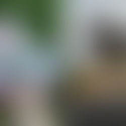 Lucy Brighton testing the Huck Wonderland wheels at the skatepark