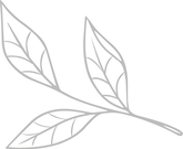 Blatt_1_Diana.png