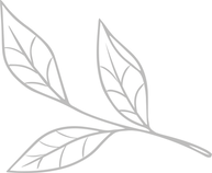 Blatt_1_Diana.png