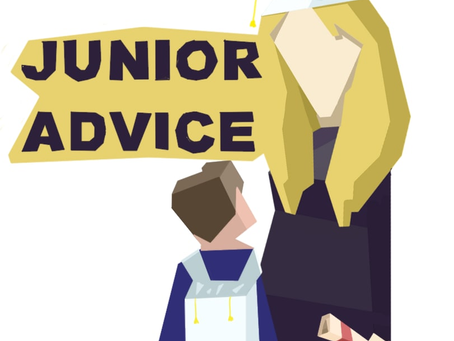 Follow The D.P.s: A Senior’s Incomprehensive Guide to the College Process