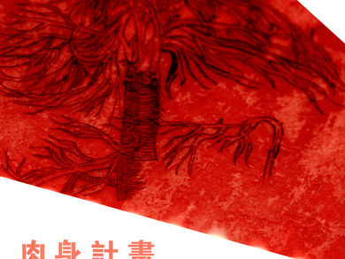 Incarnation Project- Xenotransplantation by Chen-Shen Chang
