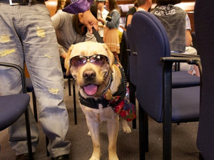 Pup & Circumstance: Training and Graduation '15