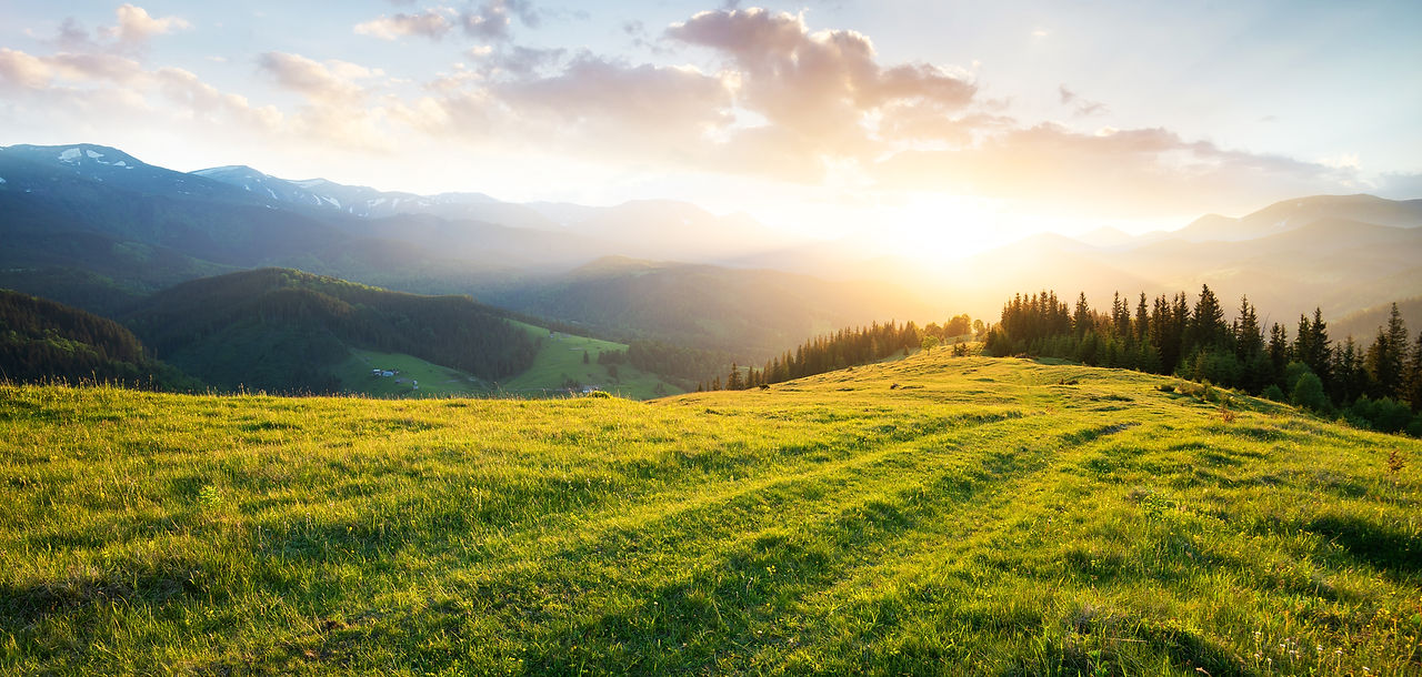 AdobeStock_209088920.jpeg