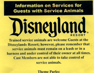 Service Dogs in Disneyland, My Top 5 Tips