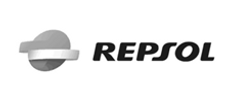 BANDERA BLANCA REPSOL