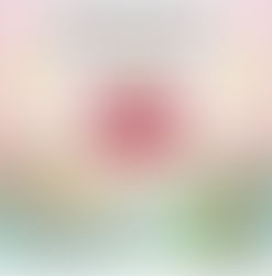 Anda Wanita Bermisai?