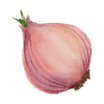 Red Onion