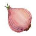 Red Onion