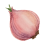 Red Onion