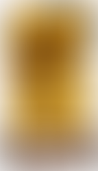 Action de développement en Inde : acte 1 / Les Galopins de Calcutta / Mai 2017