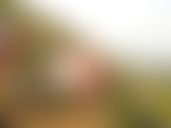 Action de développement au Népal : acte 1 / Shakti Nepal / Juin 2017