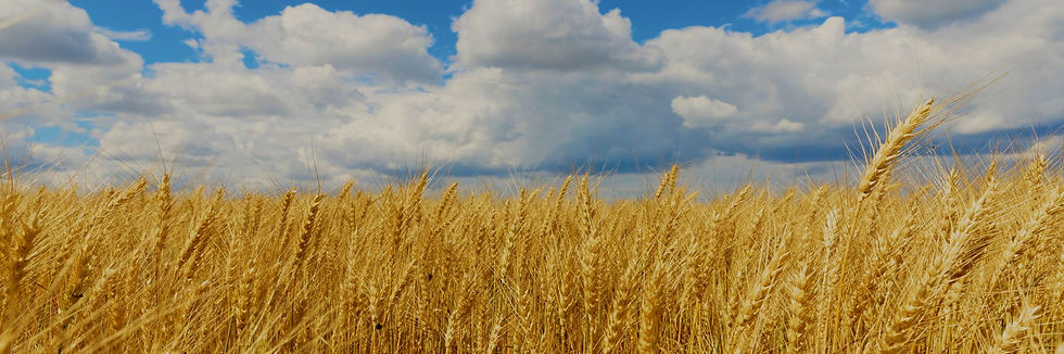 Rectangle 1-min (6).jpg