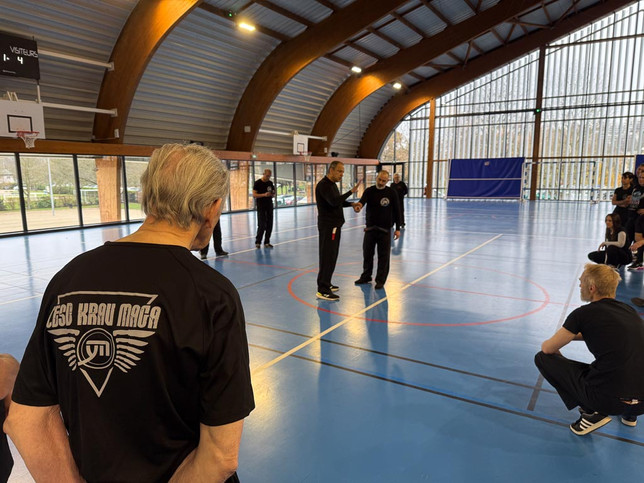 Stage Krav Maga Le Pecq -25