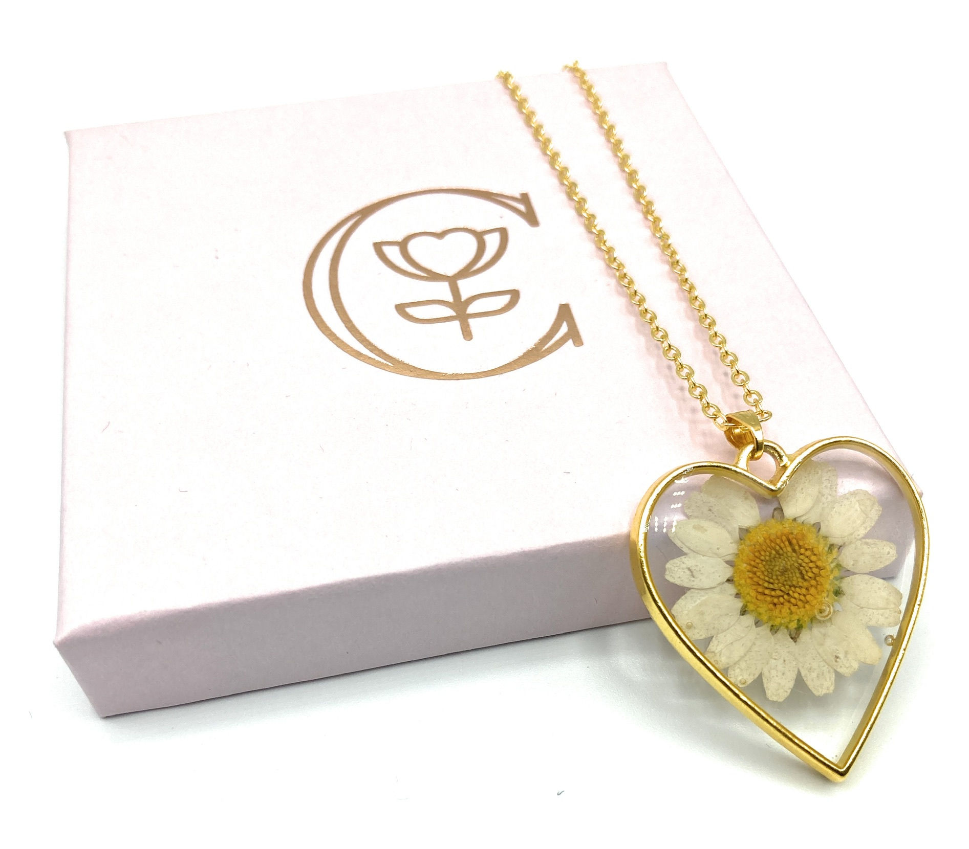 Heart shaped Real pressed Daisy necklace with Gold plated chain
