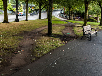 Desire paths