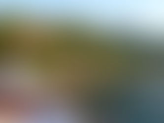 Option Ausland on tour