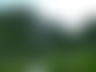 Option Ausland on tour