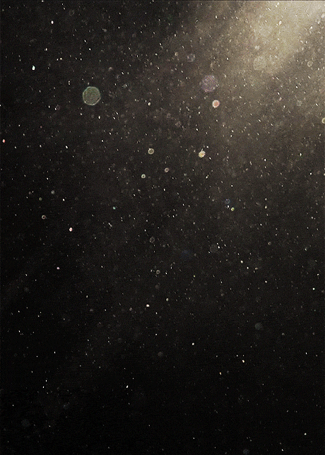 1421dbd5aeddc76bc0234eb455fbe666.gif