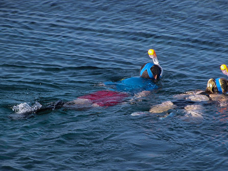 Fishing & Snorkeling 