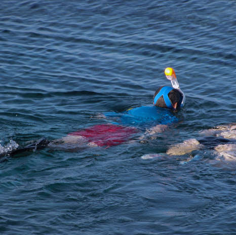 Children Snorkeling