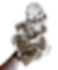 shimeji_europeu_marrom-removebg-preview.png