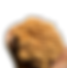 A002_-_NAMEKOIMG_1034-removebg-preview.png