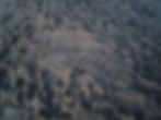 foto_06