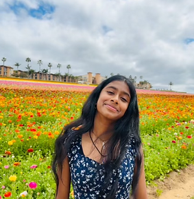 Screenshot 2024-06-06 at 2.01.04 PM.png