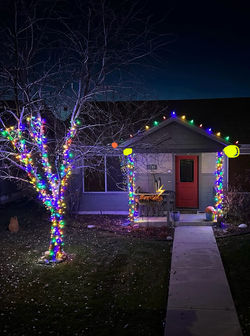 Multi-Colored Tree Lights and Trim Lights